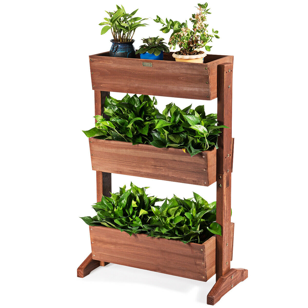 3-Tier Raised Garden Bed with Detachable Ladder and Adjustable Shelf - Color: Natural
