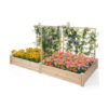 Raised Garden Bed with 2 Planter Boxes and 3 Trellis-Natural - Color: Natural