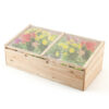 Wooden Garden Portable Greenhouse - Color: Natural
